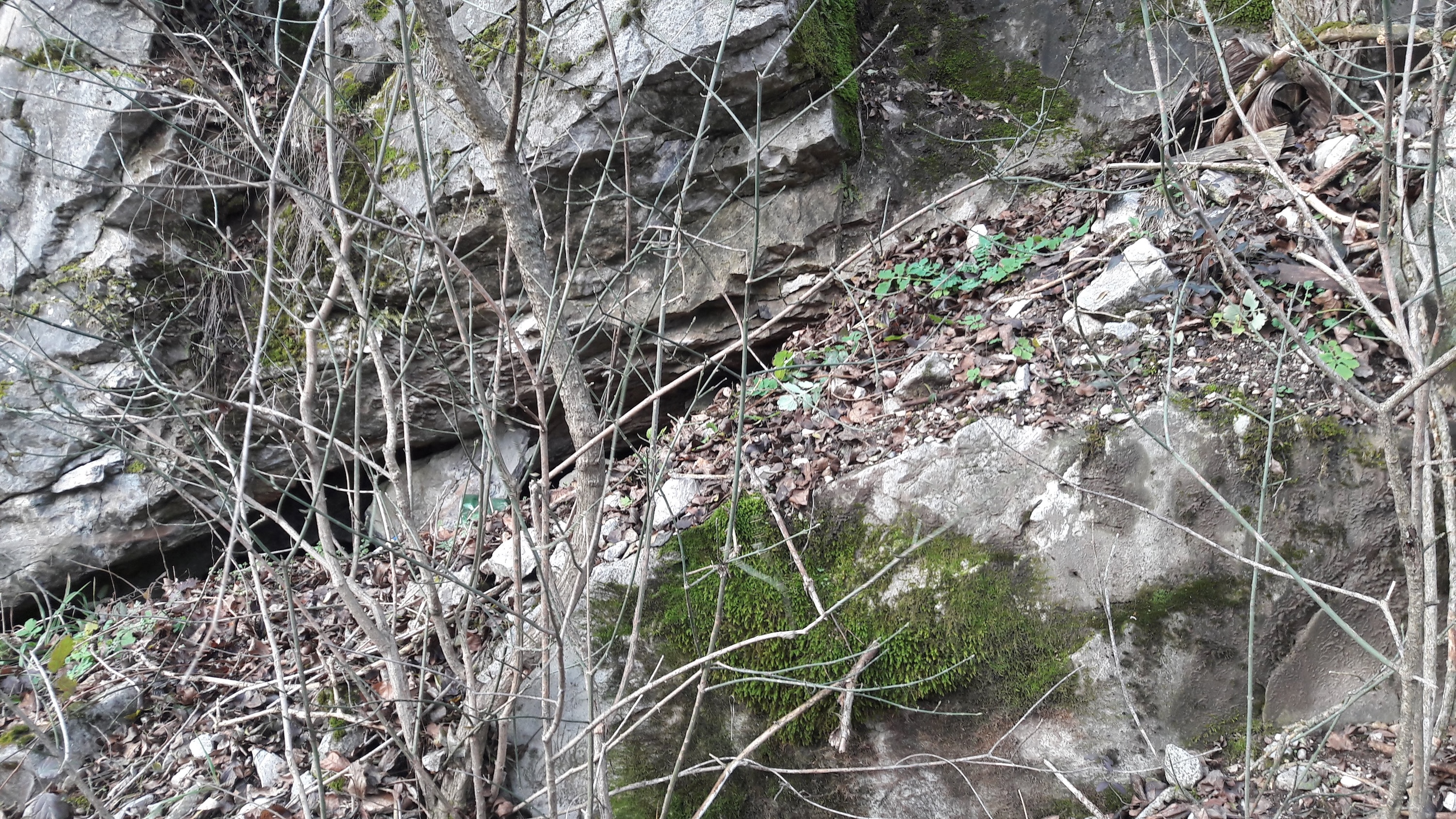 Peștera Caprelor - Image 4